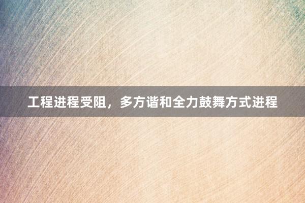 工程进程受阻，多方谐和全力鼓舞方式进程